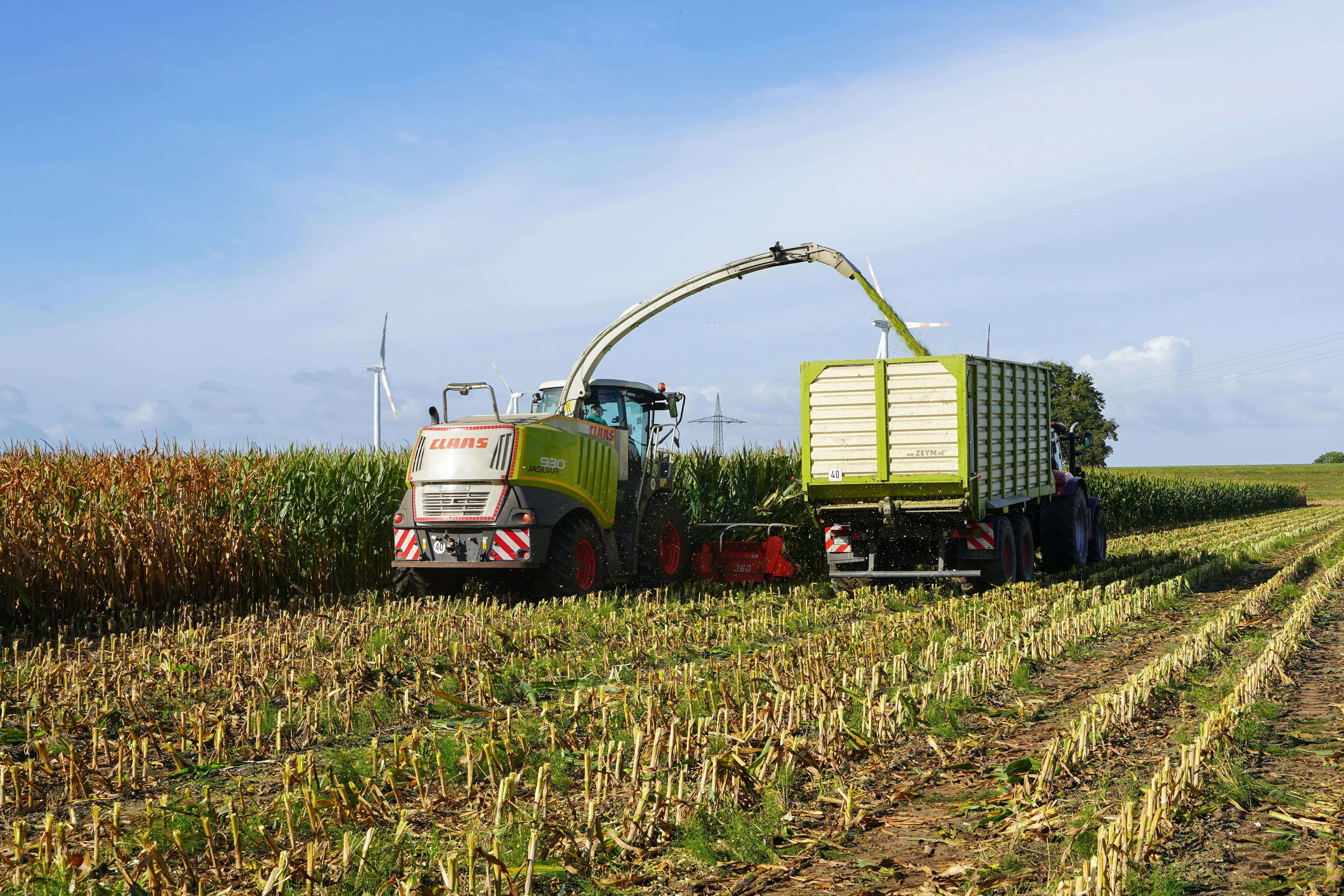 Wycinak do kiszonki – niezawodne narzędzie w gospodarstwie rolnym